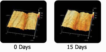 0 to 15 Days