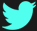 twitter-icon